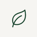 Simple green leaf icon on a white background.